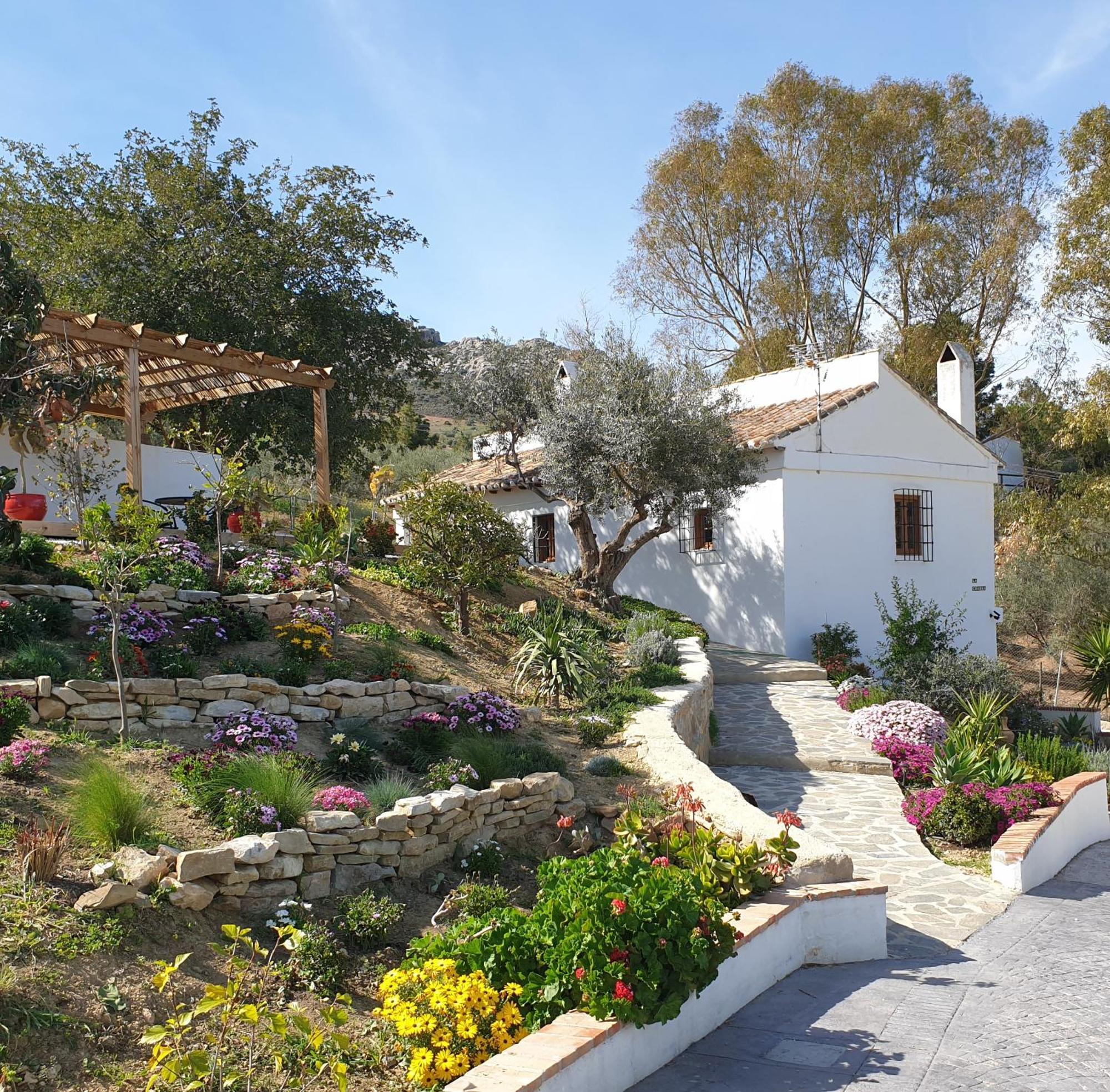 Altozano - Private Pool - Unique Client