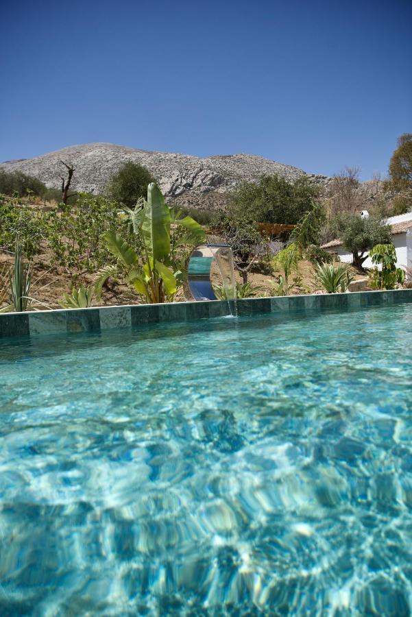 Altozano - Private Pool - Unique Client Guest house *