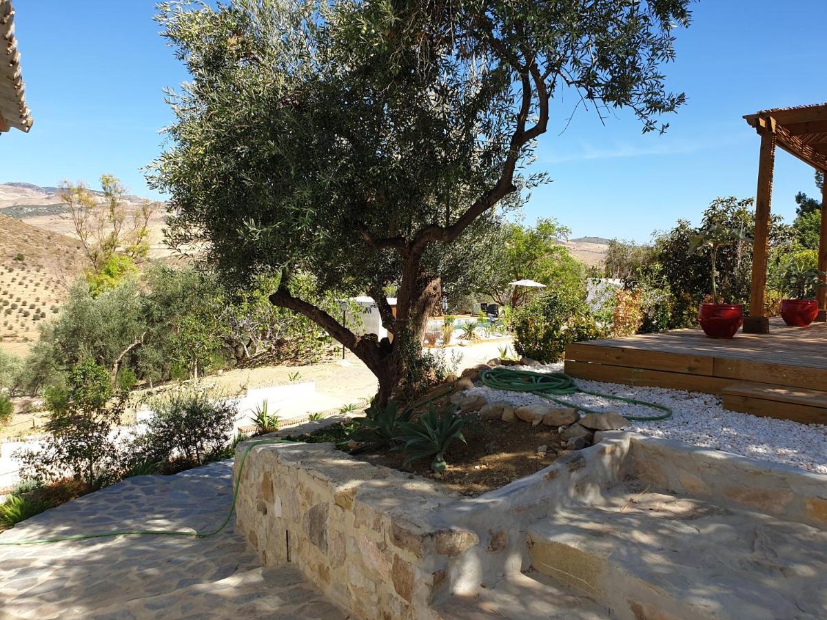 Guest house Altozano - Private Pool - Unique Client Valle de Abdalagis