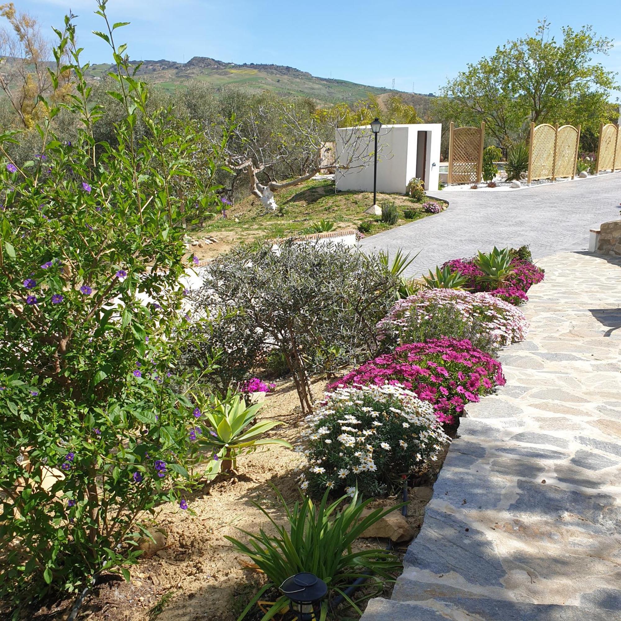 Altozano - Private Pool - Unique Client *