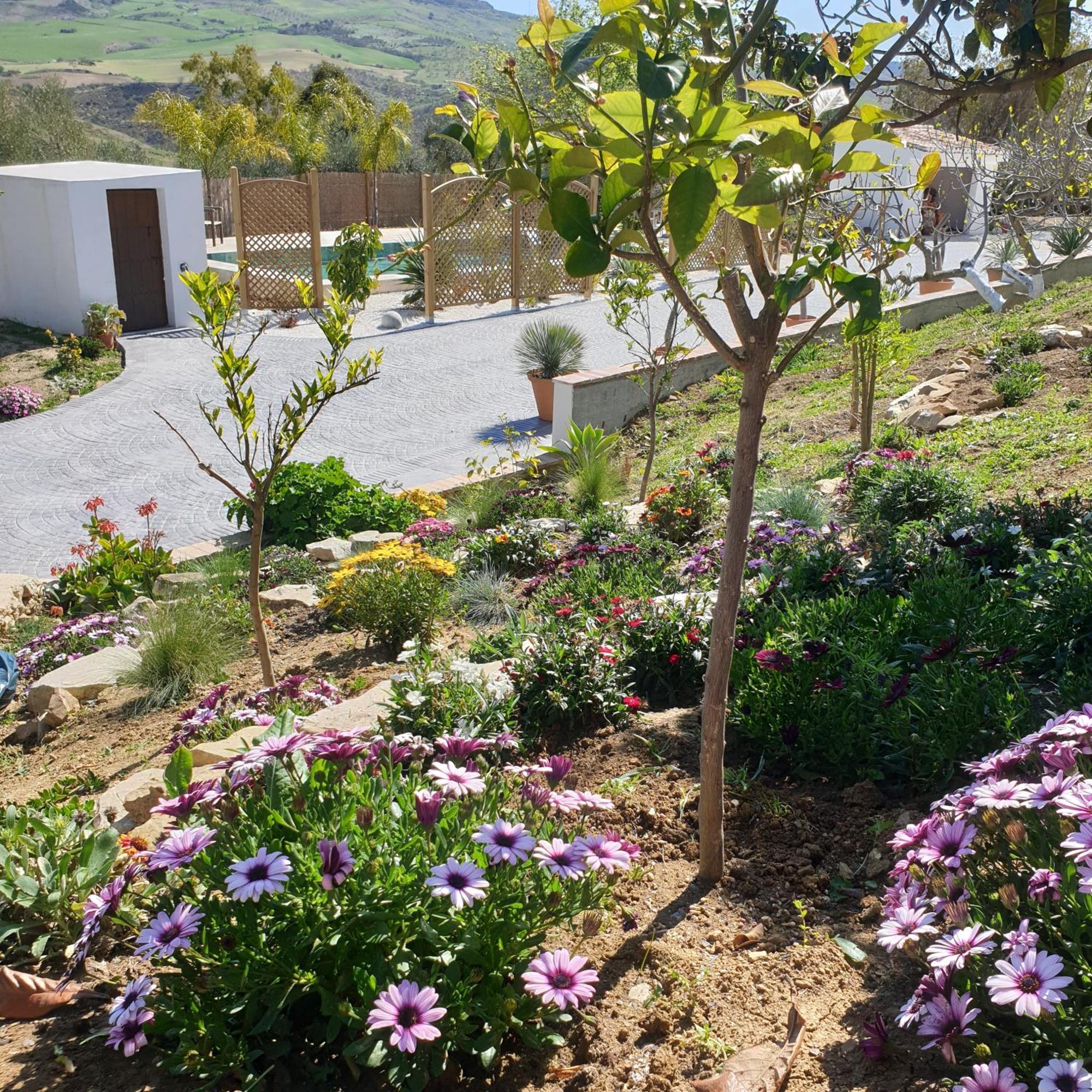 Guest house Altozano - Private Pool - Unique Client
