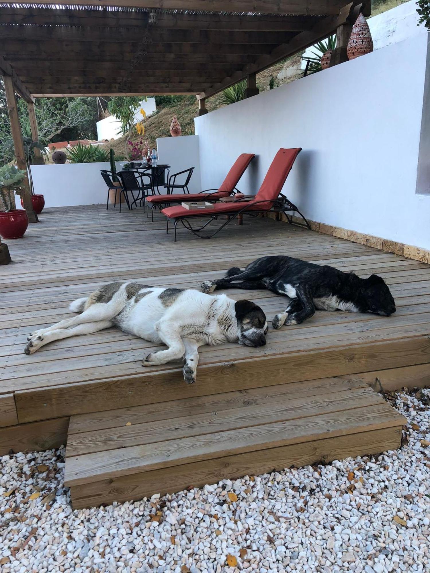 Altozano - Private Pool - Unique Client