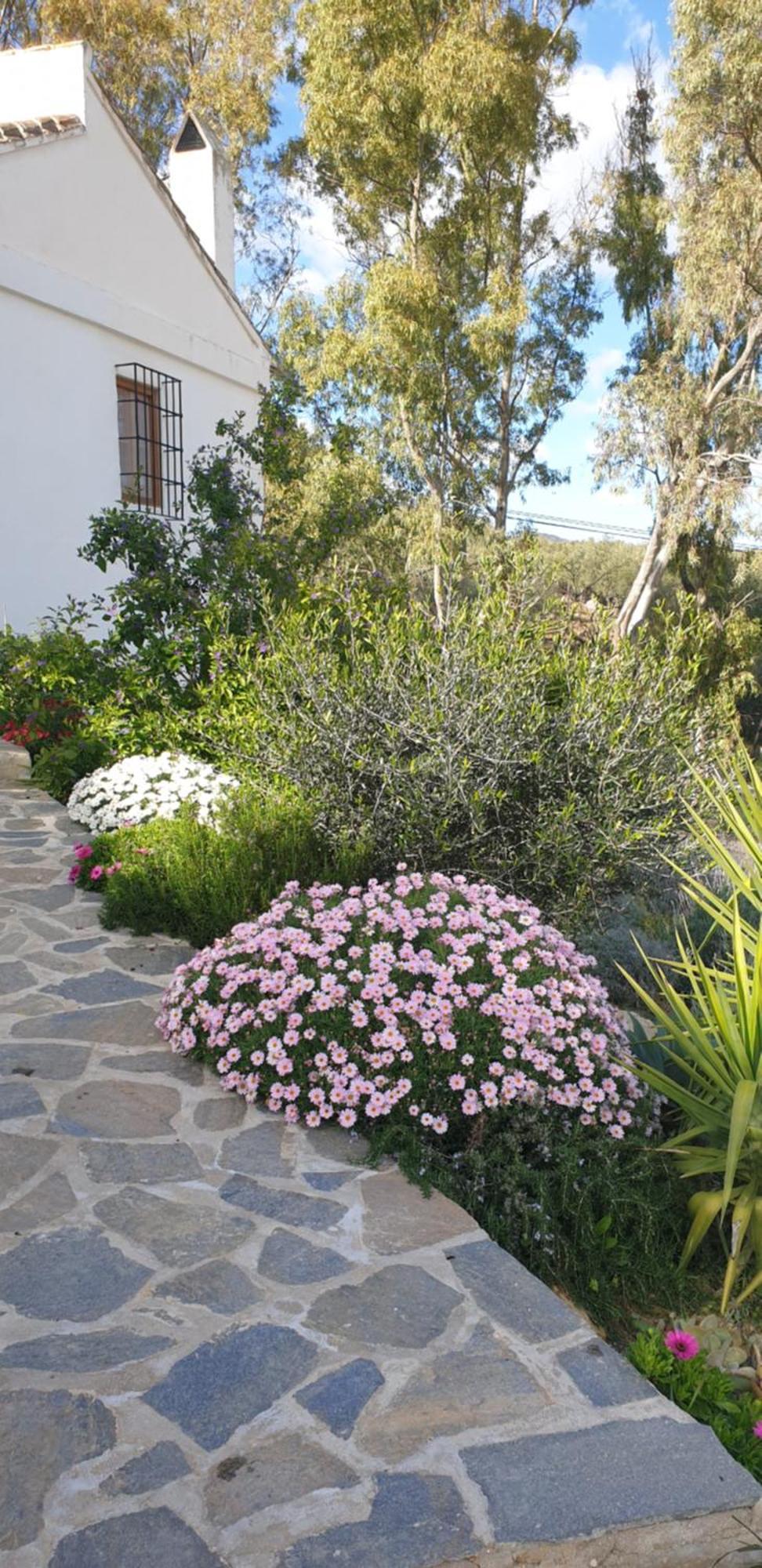 Guest house Altozano - Private Pool - Unique Client